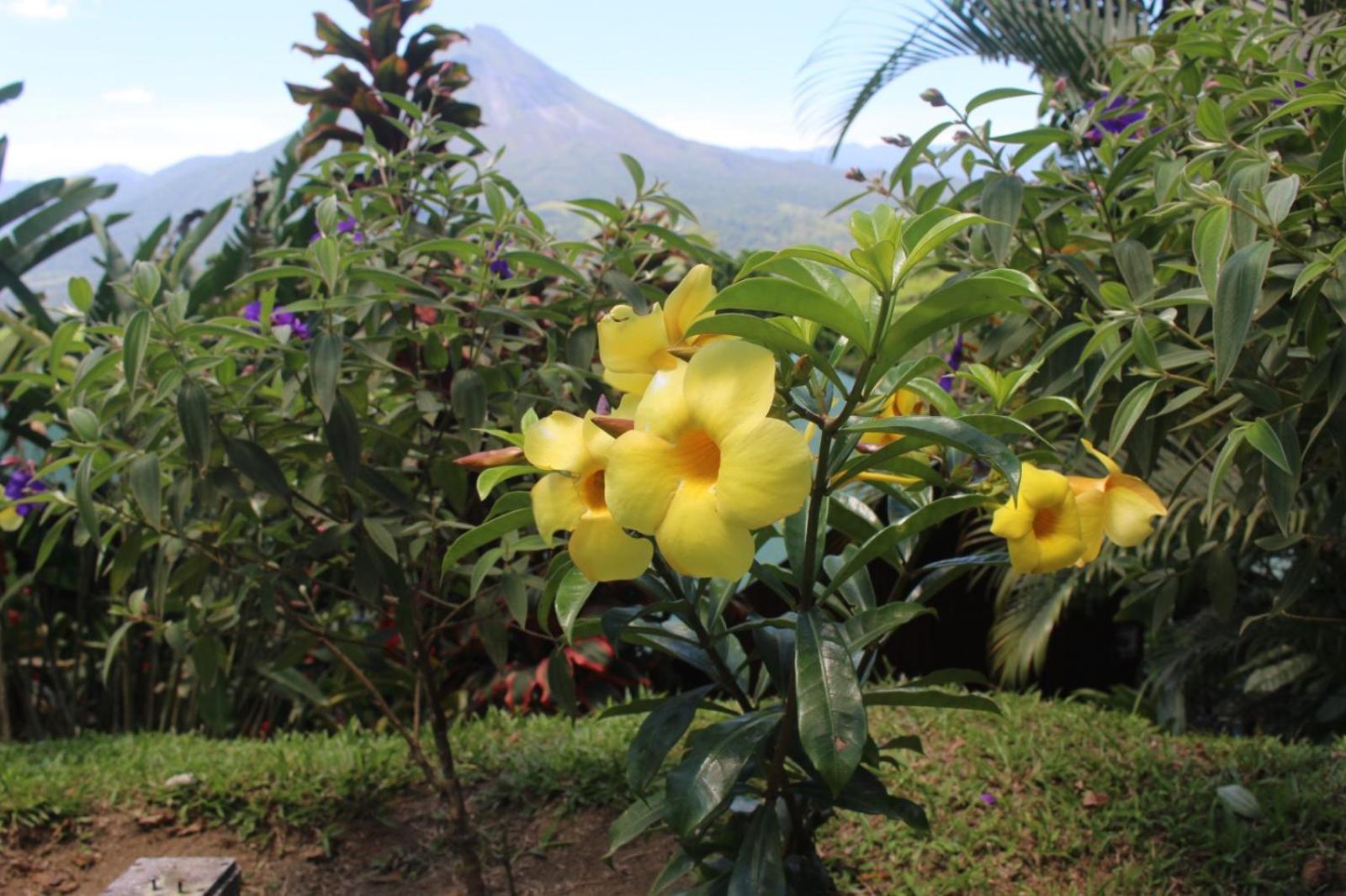 Casa Torre Eco- Lodge La Fortuna Екстериор снимка