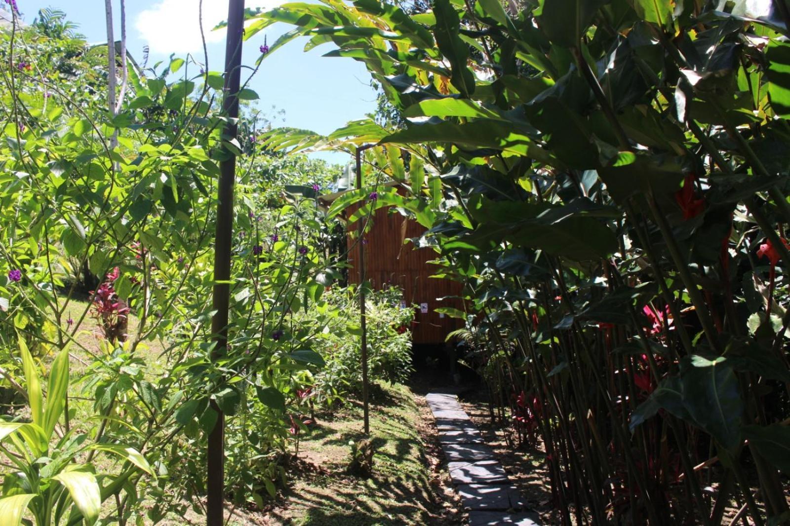 Casa Torre Eco- Lodge La Fortuna Екстериор снимка