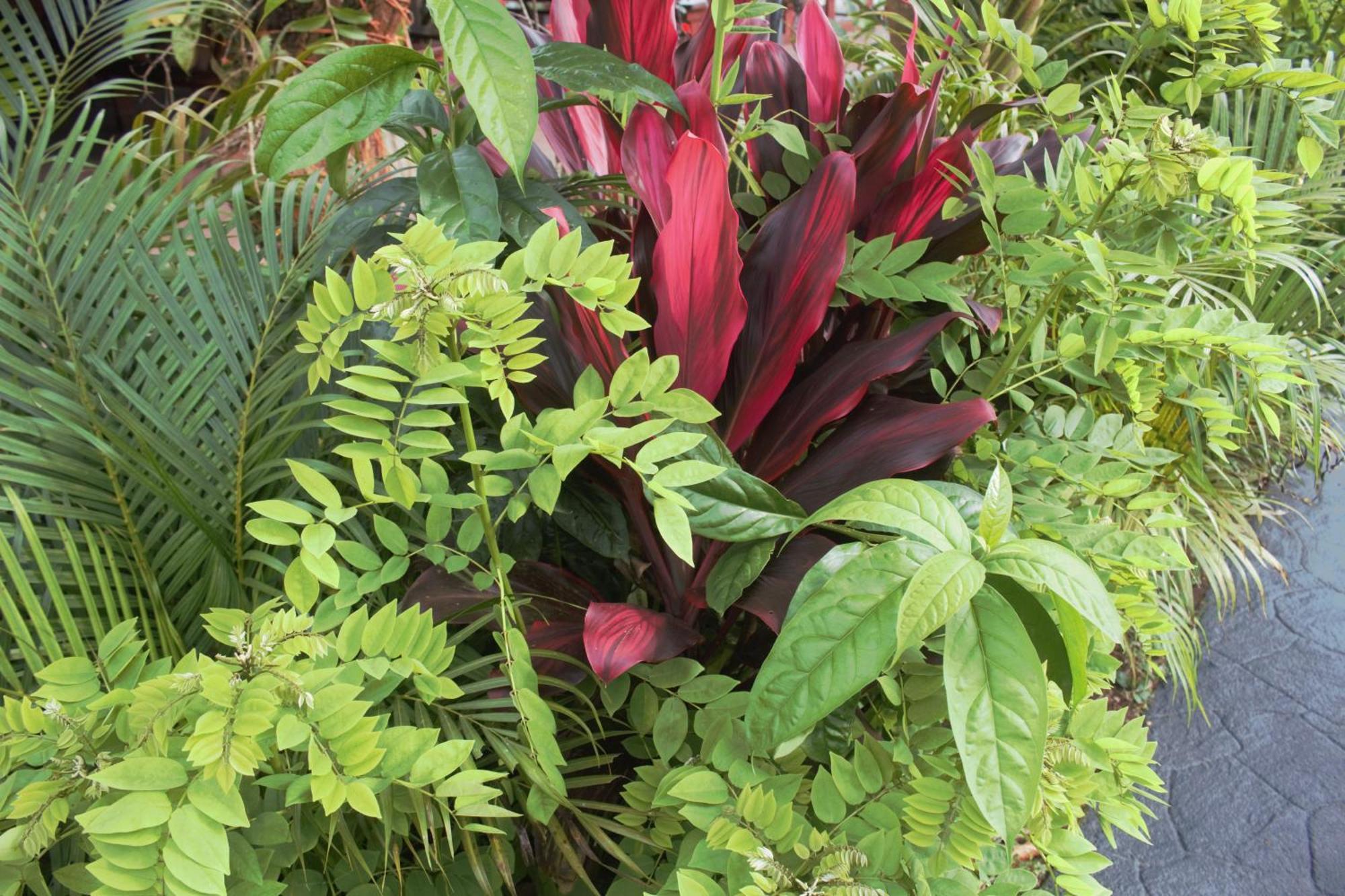 Casa Torre Eco- Lodge La Fortuna Екстериор снимка