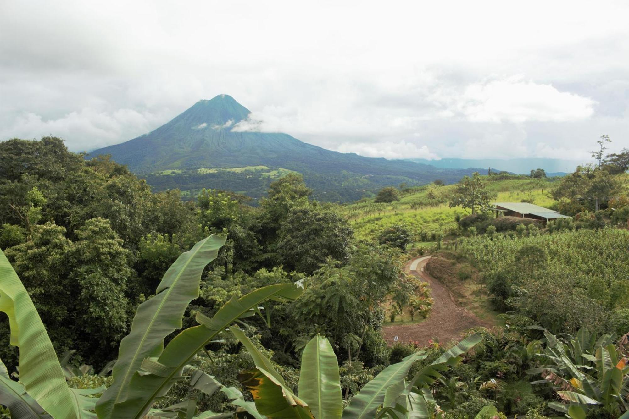 Casa Torre Eco- Lodge La Fortuna Екстериор снимка